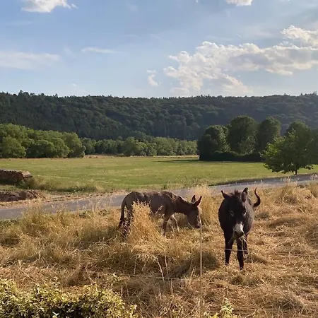 Flussnest Lejlighed *