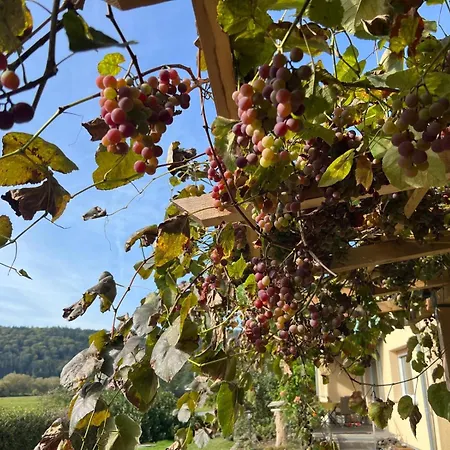 Lejlighed Flussnest Fulda