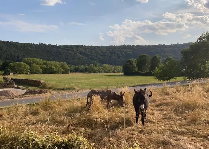 Flussnest Apartman *