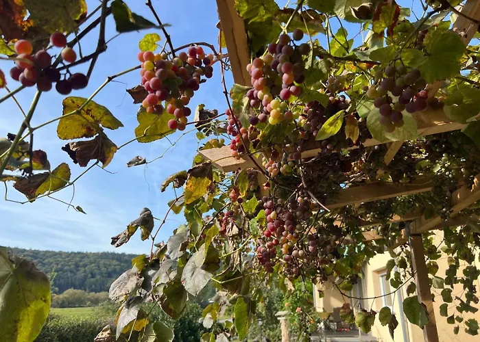 Apartman Flussnest Fulda